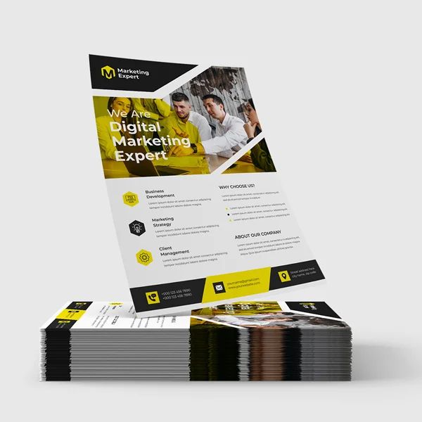 Professional Flyers & Brochures 4