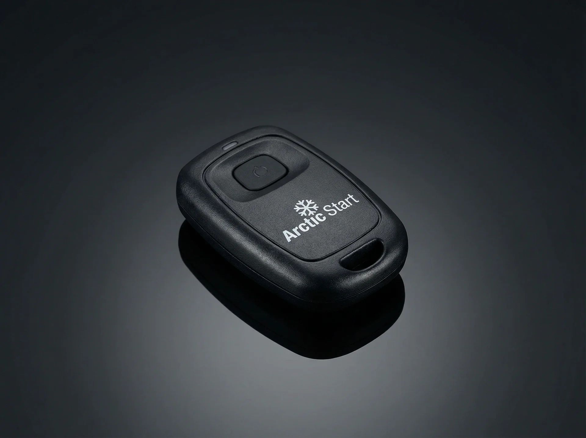 Arctic Start Entry Remote Starter