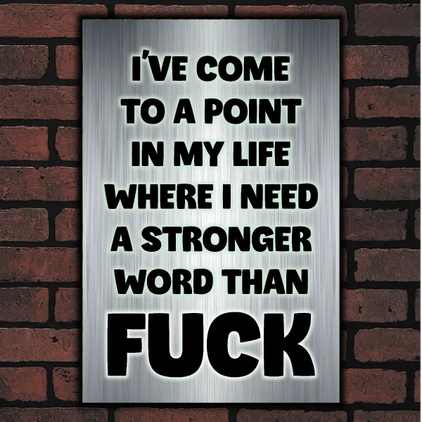 A POINT IN MY LIFE WHERE I NEED A STRONGER WORD THAN FUCK
