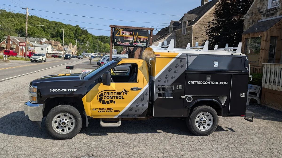 Construction & Contractor Wraps