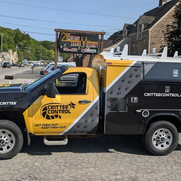 Construction & Contractor Wraps