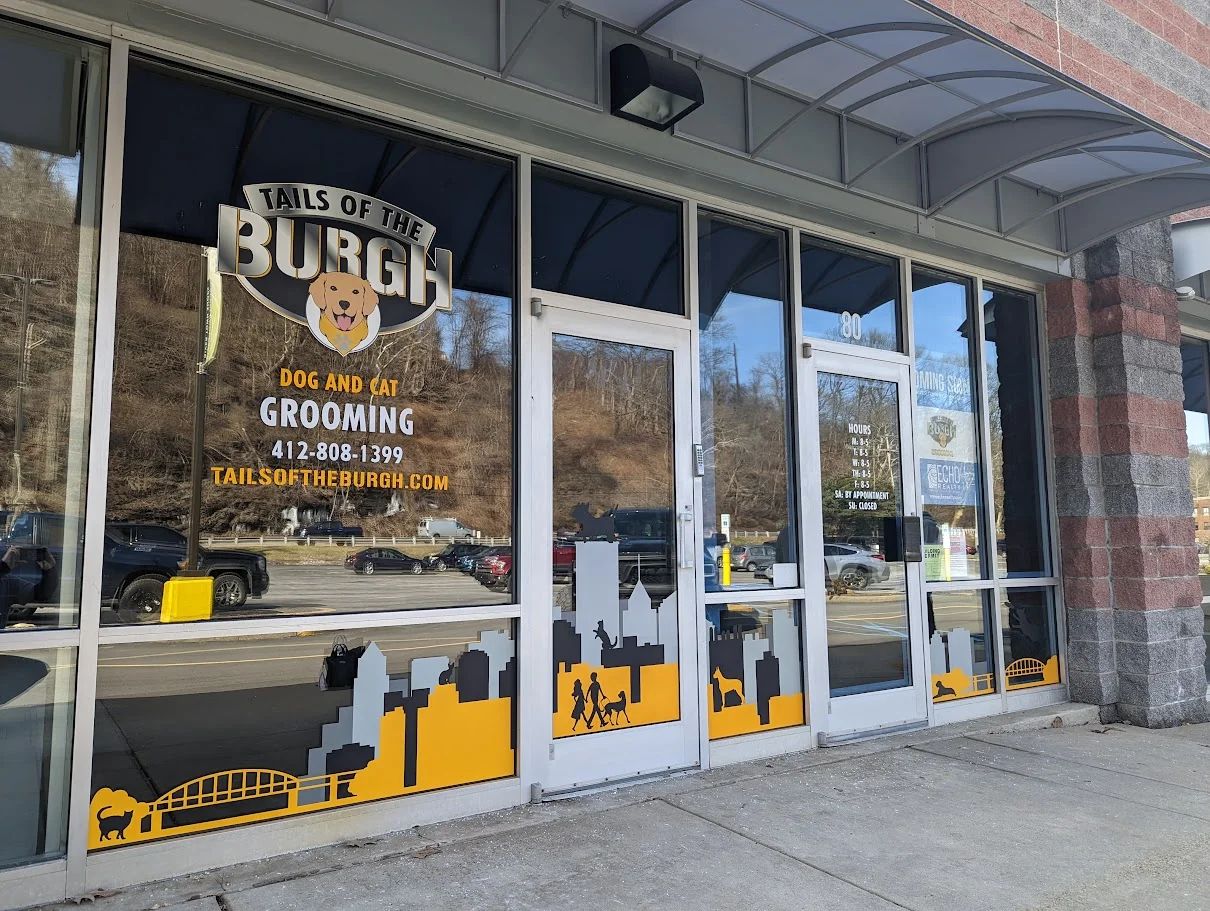 Storefront Window Graphics 6