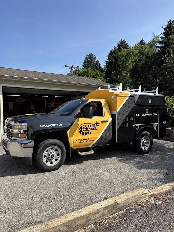 Fleet Graphics & Branding 5